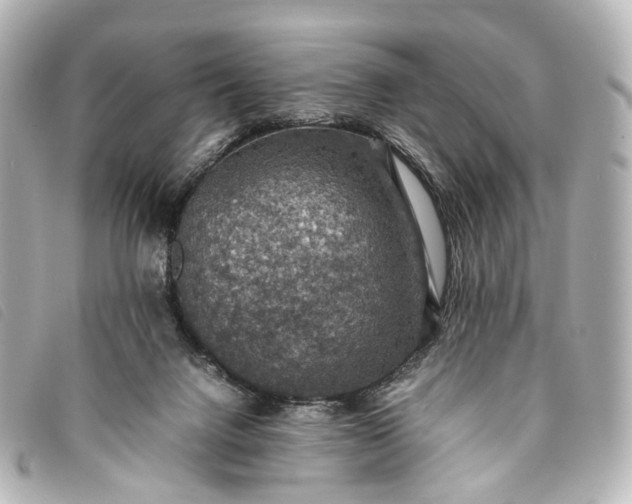 X0000093370072200710251203