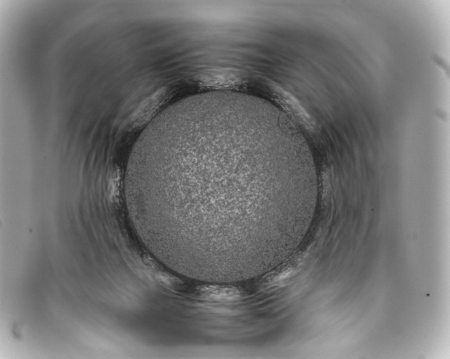 X0000093370073200710251203