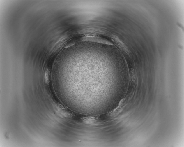 X0000093370074200710251203