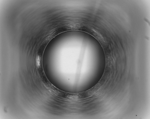 X0000093370075200710251203