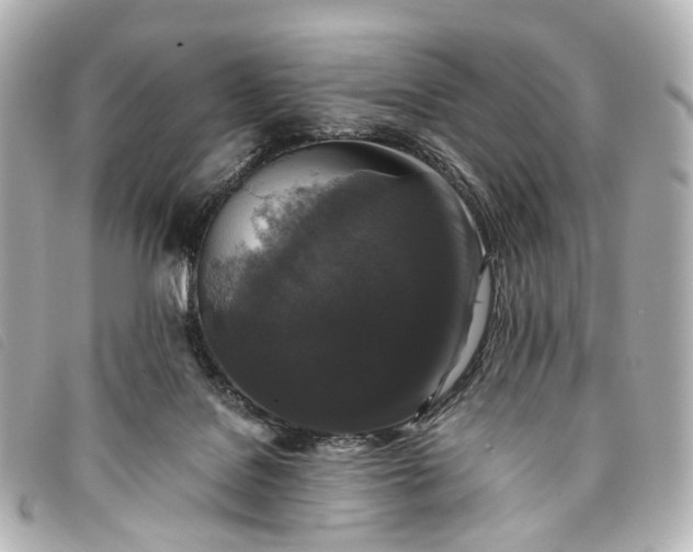 X0000093370076200710251203