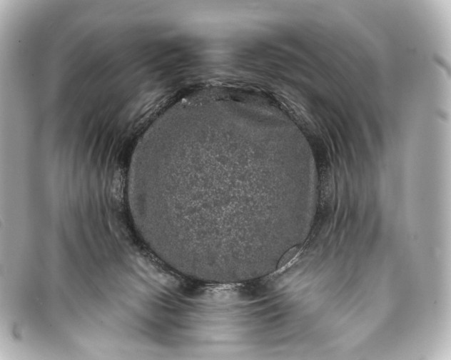 X0000093370078200710251203