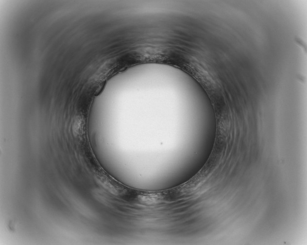 X0000093370079200710251203