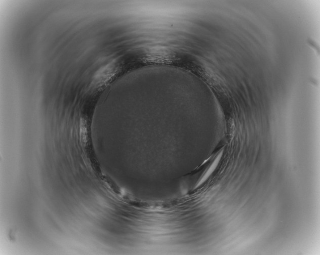 X0000093370080200710251203