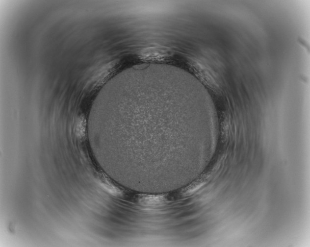 X0000093370081200710251203