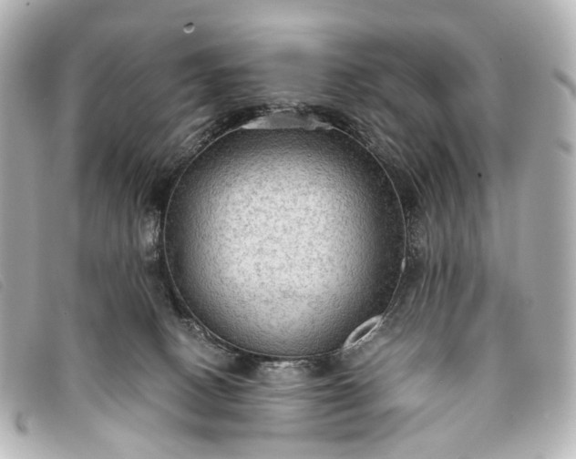 X0000093370082200710251203