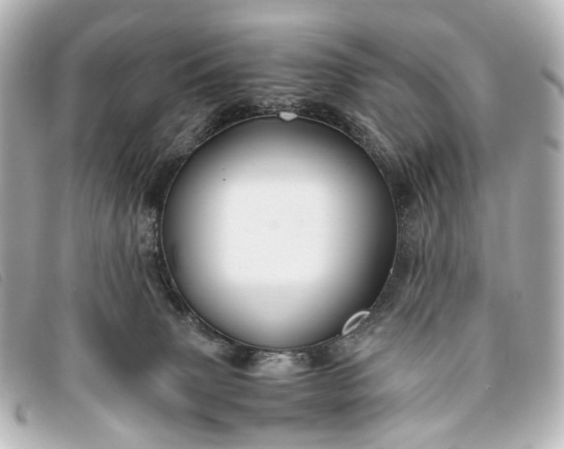 X0000093370083200710251203