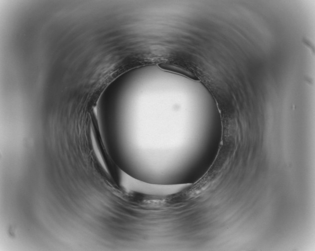 X0000093370084200710251203