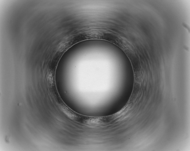 X0000093370086200710251203