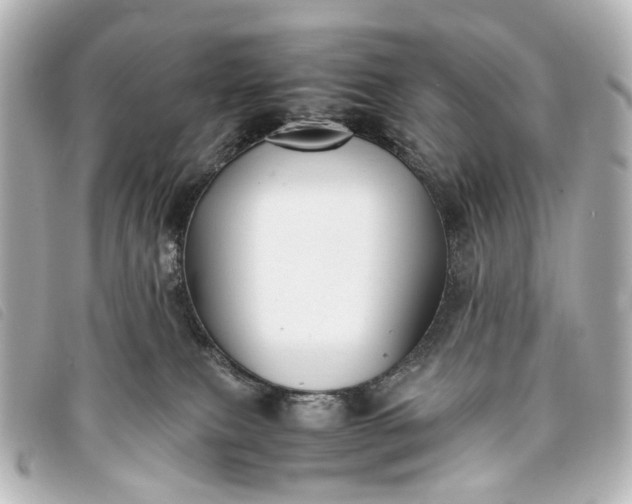 X0000093370087200710251203