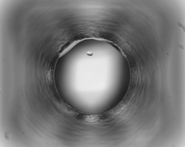 X0000093370088200710251203