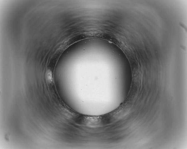 X0000093370089200710251203