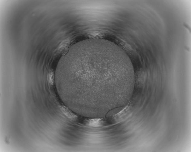 X0000093370090200710251203