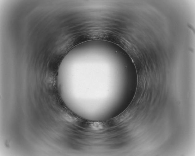 X0000093370091200710251203