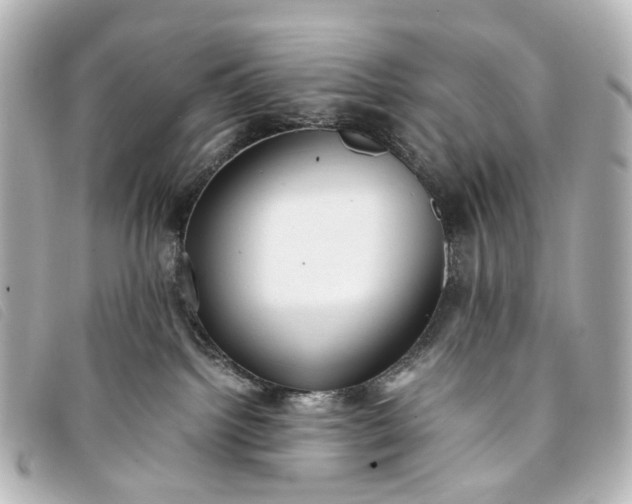 X0000093370092200710251203