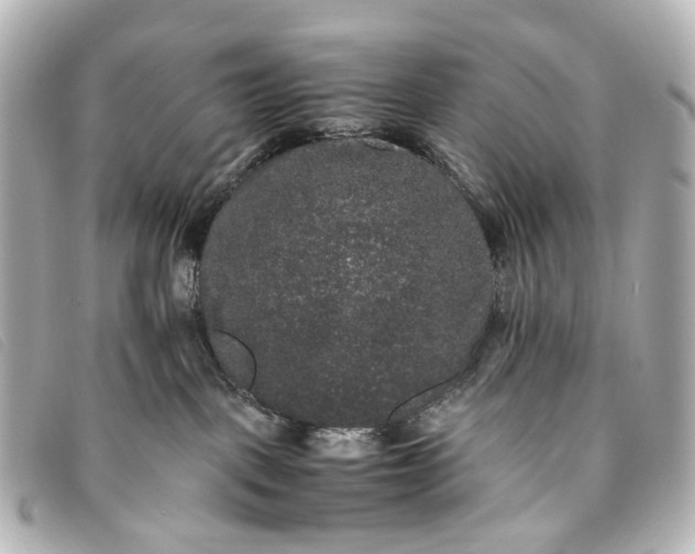 X0000093370093200710251203