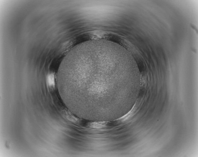 X0000093370094200710251203