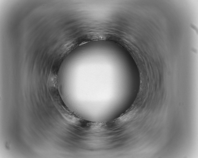 X0000093370096200710251203