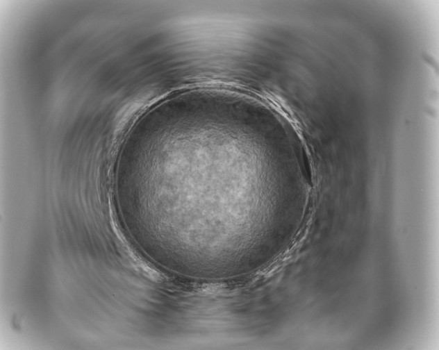 X0000093370097200710251203