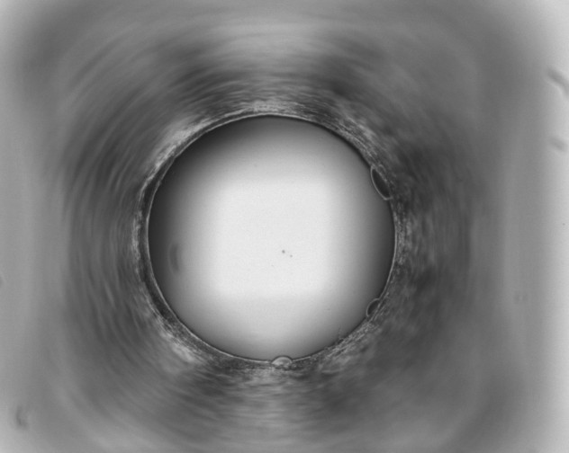 X0000093370098200710251203