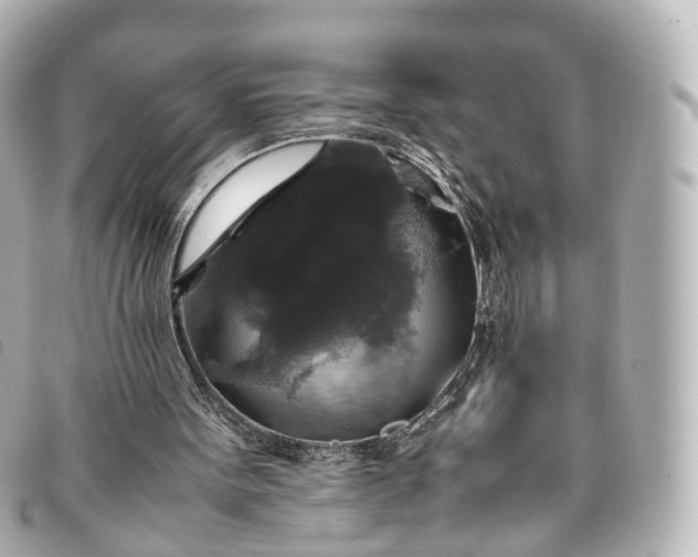 X0000093370099200710251203