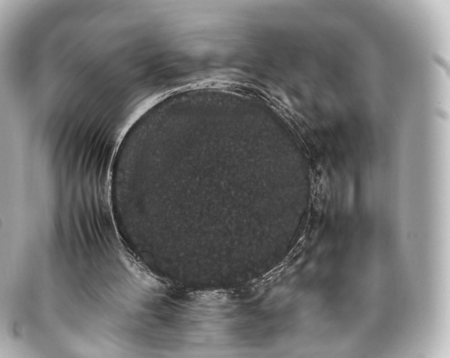 X0000093370100200710251203