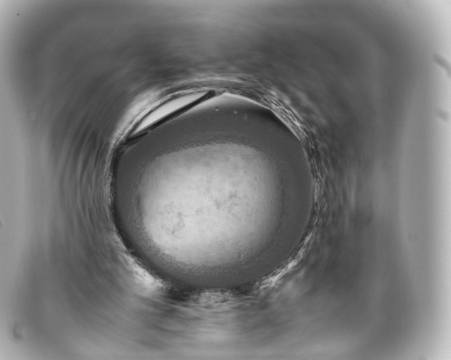 X0000093370101200710251203