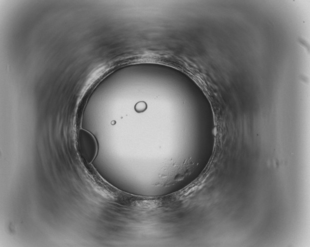 X0000093370102200710251203