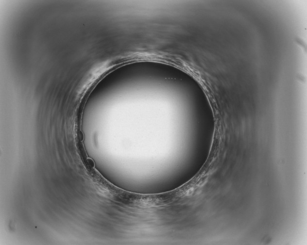 X0000093370103200710251203