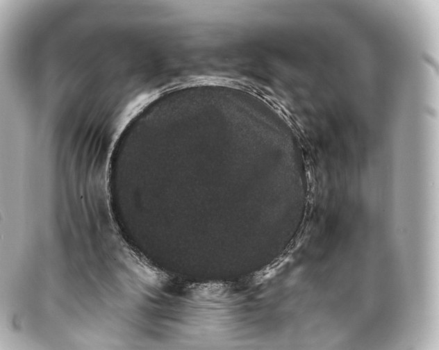 X0000093370104200710251203