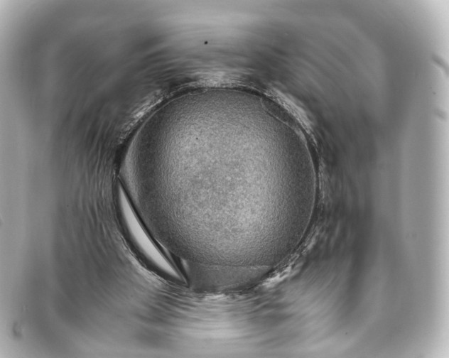 X0000093370105200710251203