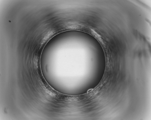 X0000093370106200710251203