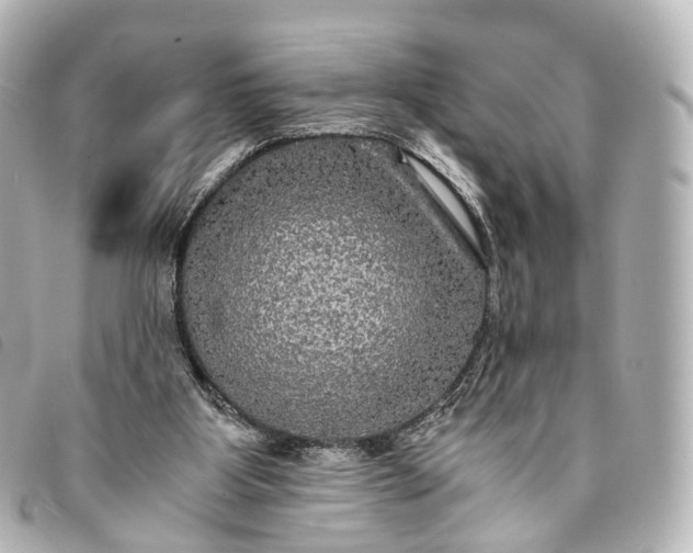 X0000093370107200710251203