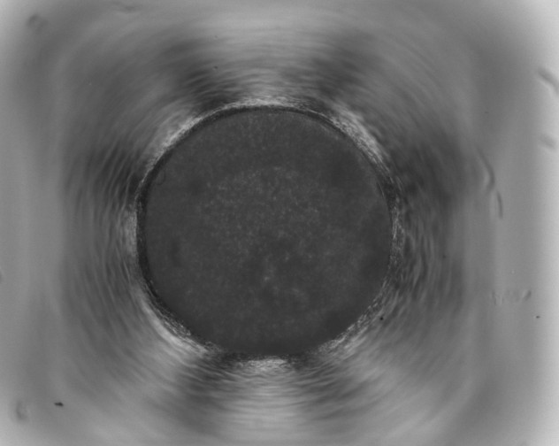 X0000093370108200710251203