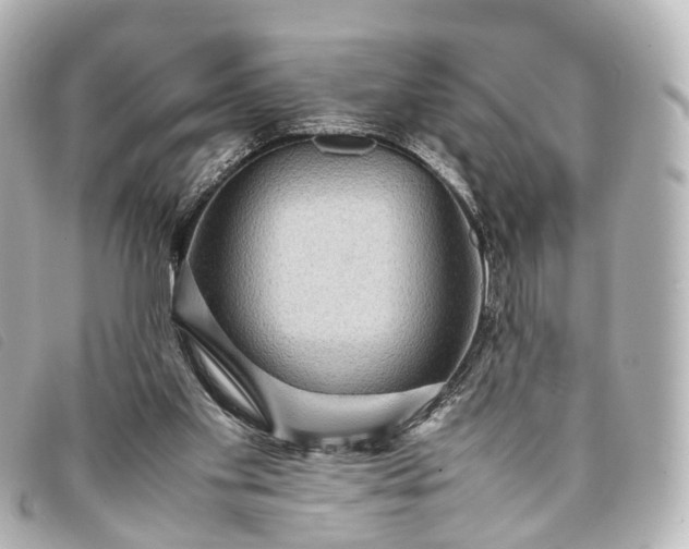 X0000093370109200710251202