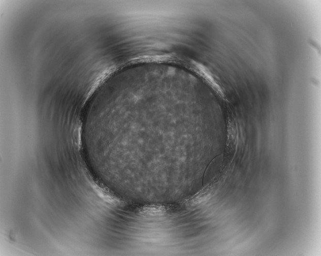 X0000093370110200710251202