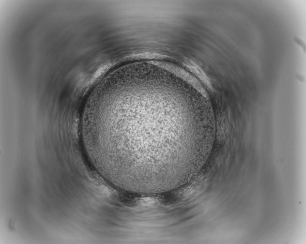 X0000093370111200710251202