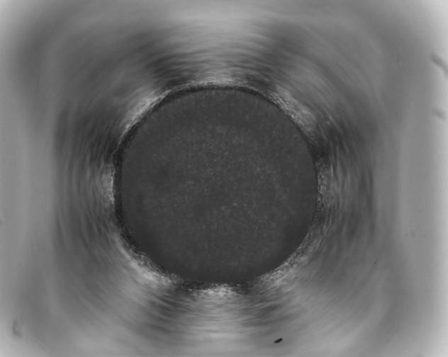 X0000093370112200710251202