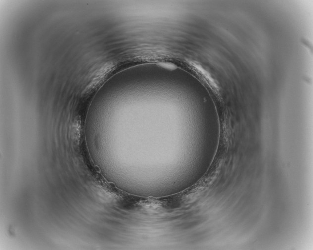 X0000093370113200710251202