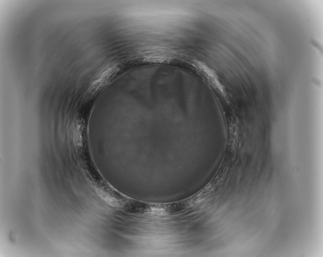 X0000093370114200710251202