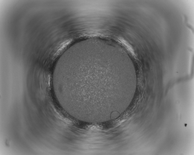 X0000093370115200710251202