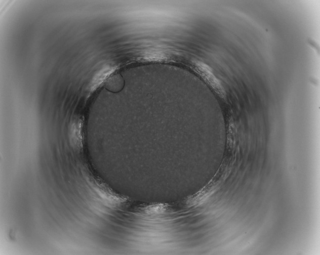 X0000093370116200710251202