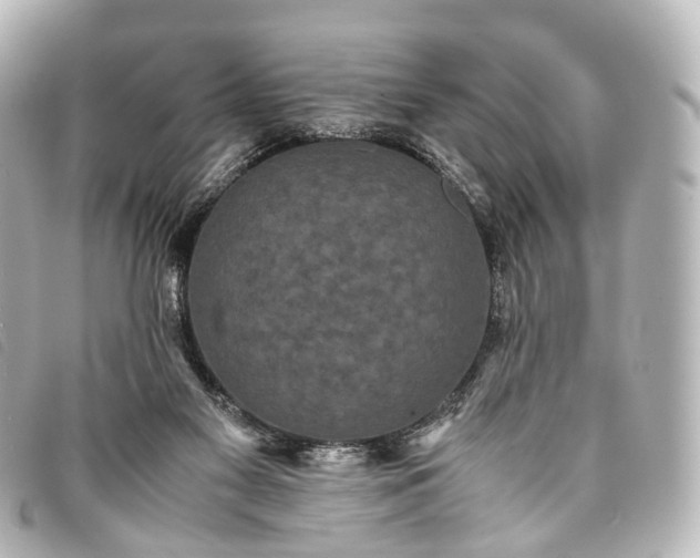 X0000093370117200710251202