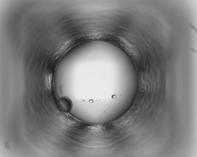 X0000093370118200710251202