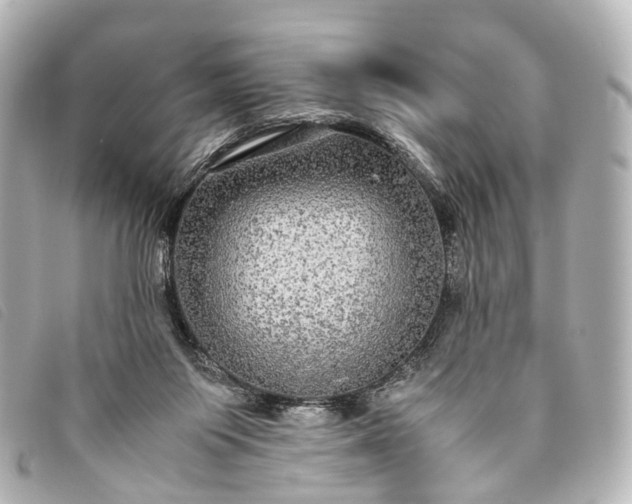 X0000093370119200710251202