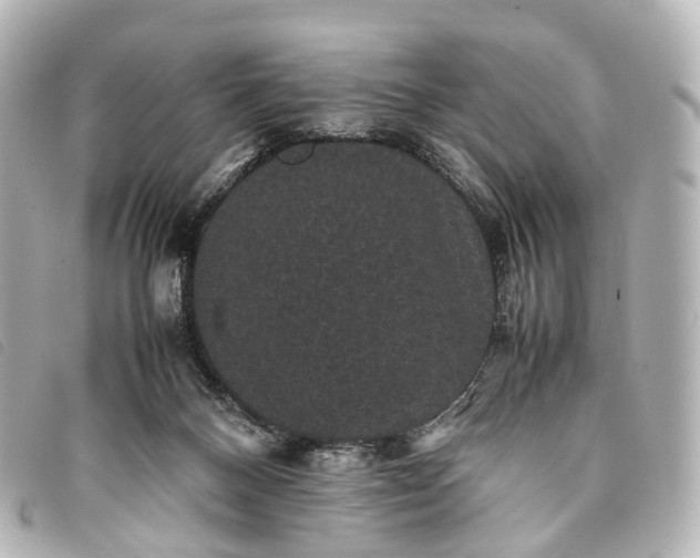 X0000093370120200710251202