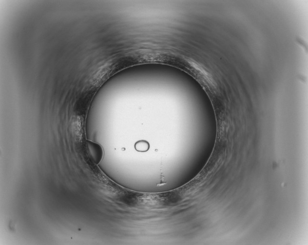 X0000093370121200710251202