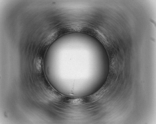 X0000093370122200710251202