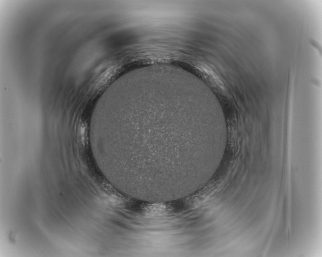 X0000093370123200710251202