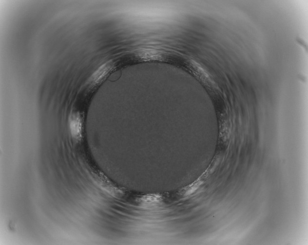 X0000093370124200710251202